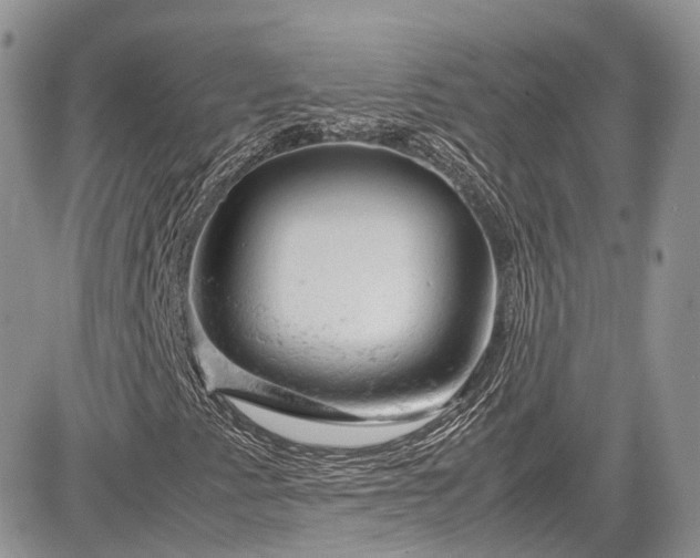 X0000085271345200703161419