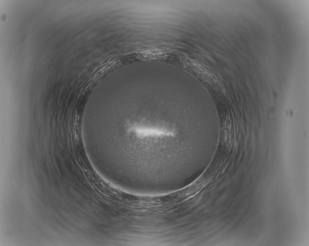 X0000085271346200703161419