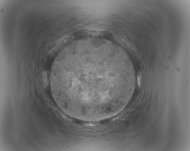 X0000085271347200703161419