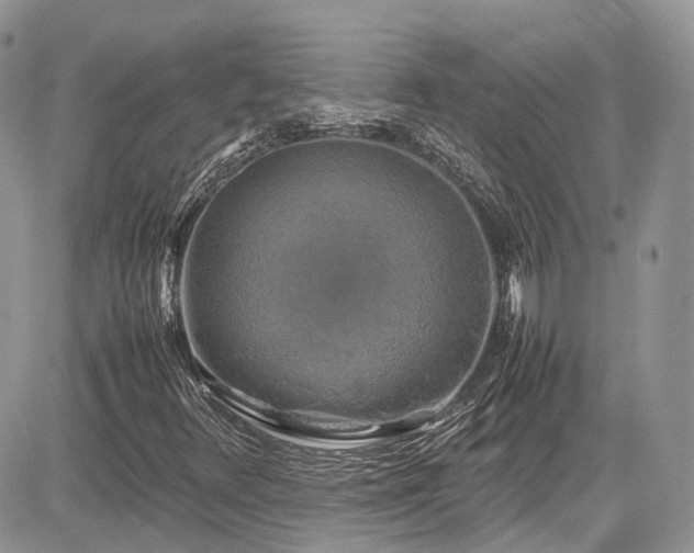 X0000085271348200703161419