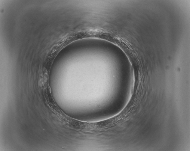 X0000085271349200703161419