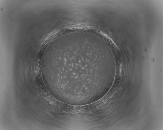 X0000085271350200703161419