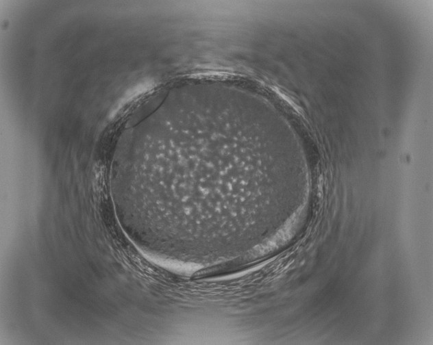 X0000085271351200703161419