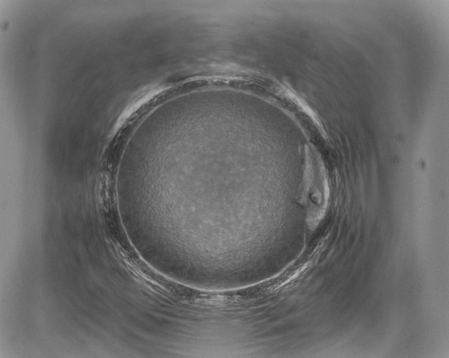 X0000085271352200703161419