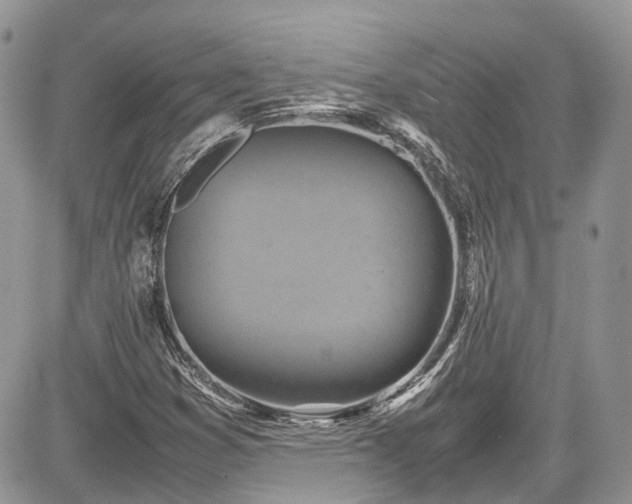 X0000085271353200703161419