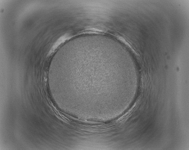 X0000085271355200703161419