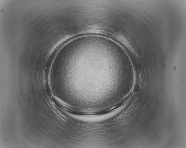 X0000085271356200703161419