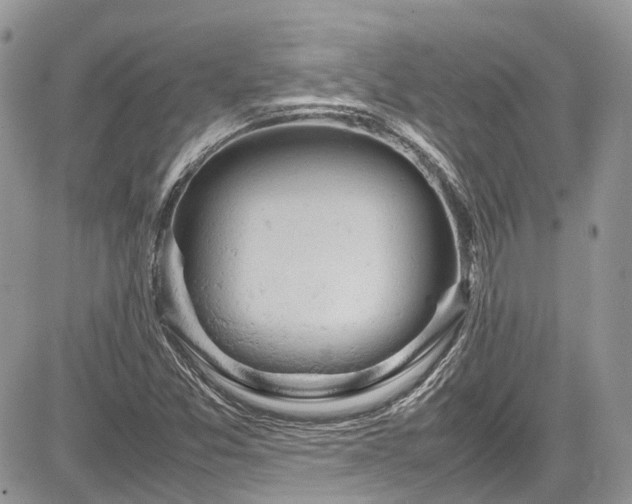 X0000085271357200703161419