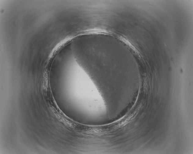 X0000085271358200703161419