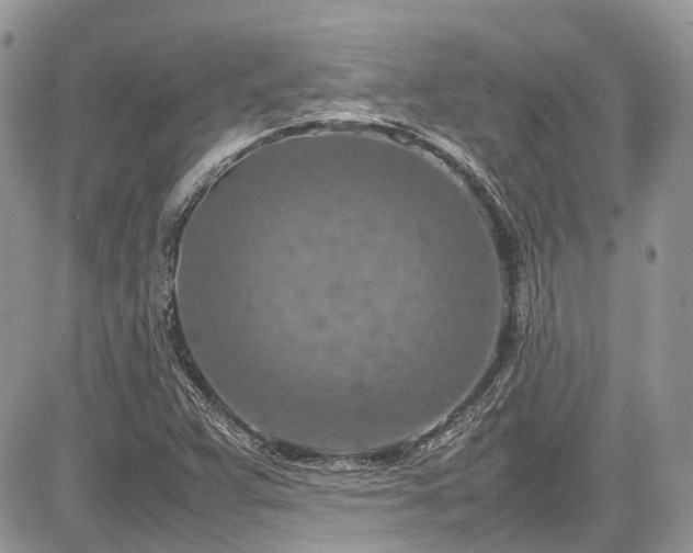 X0000085271359200703161419