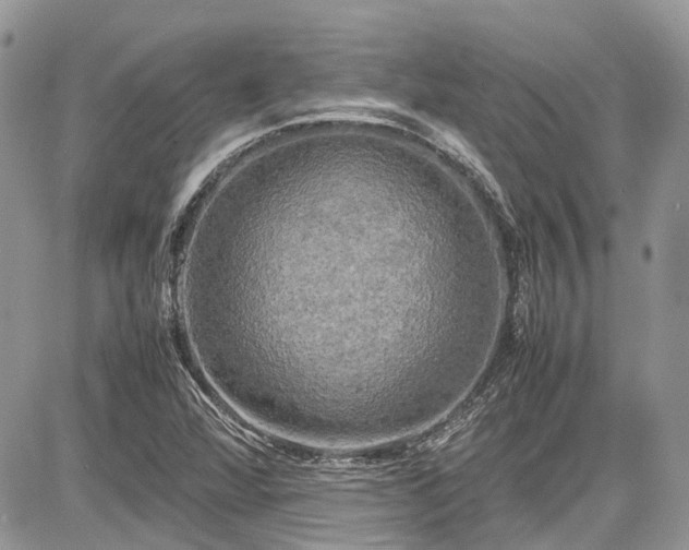 X0000085271360200703161419