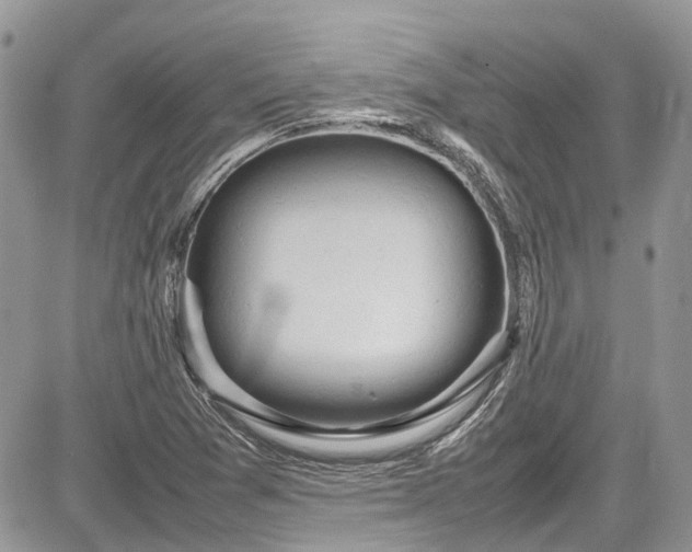 X0000085271361200703161419