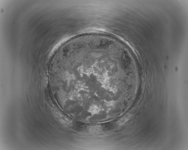 X0000085271363200703161419