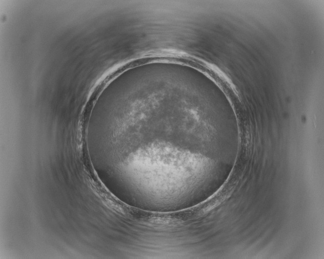 X0000085271364200703161419