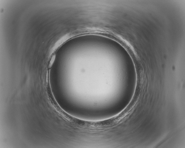 X0000085271365200703161419