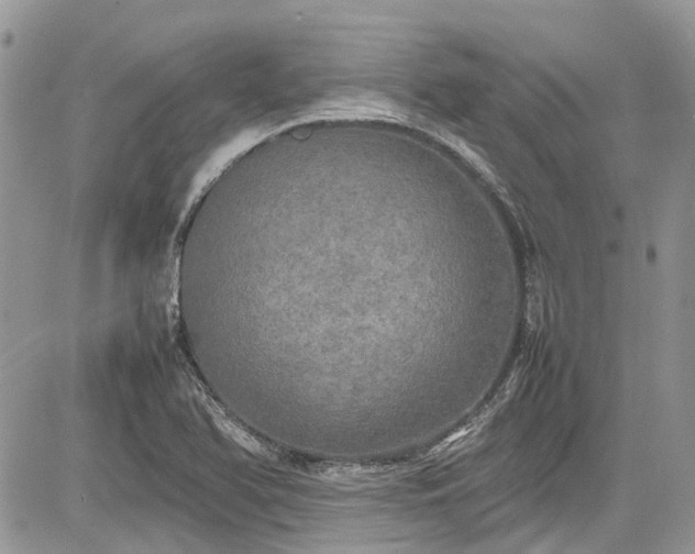 X0000085271366200703161419