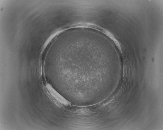 X0000085271368200703161419