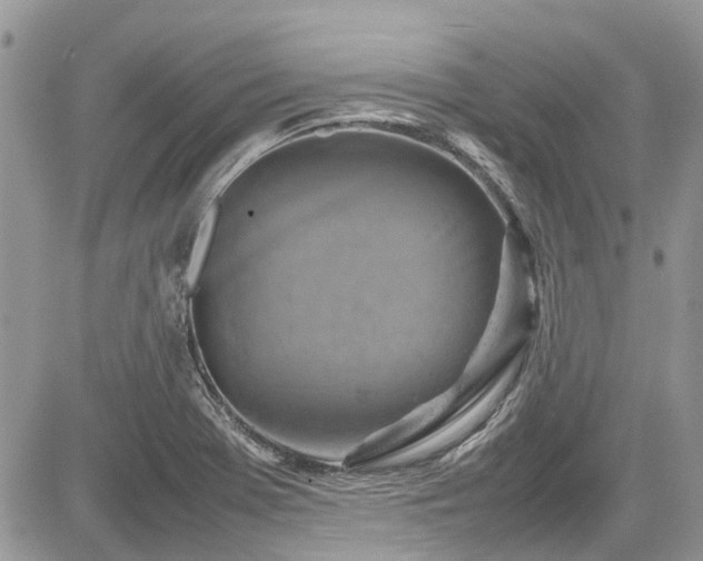 X0000085271369200703161419