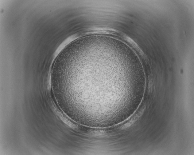 X0000085271370200703161419