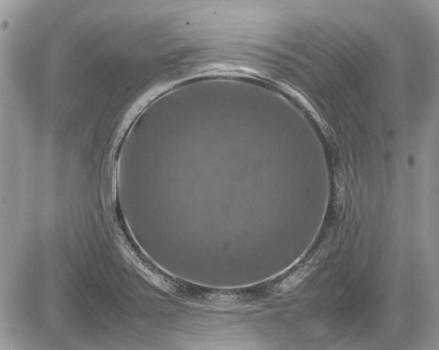 X0000085271371200703161419