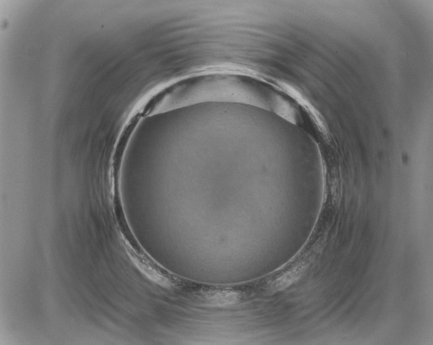 X0000085271372200703161419