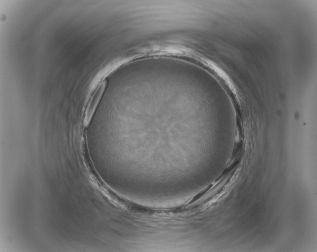 X0000085271373200703161419