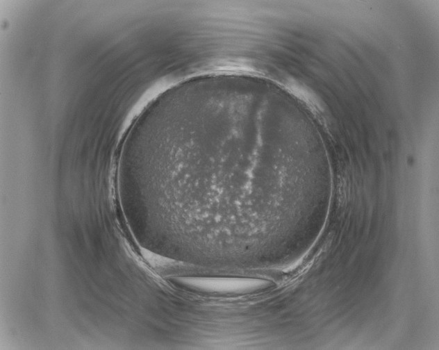 X0000085271374200703161419