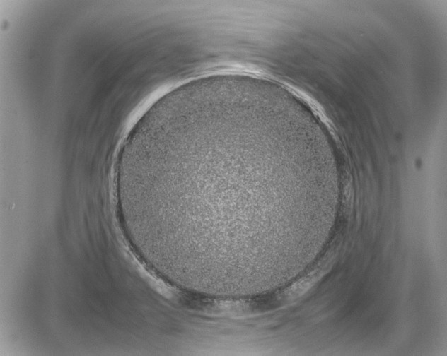 X0000085271375200703161419