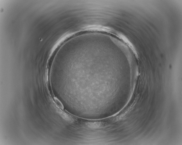 X0000085271376200703161419