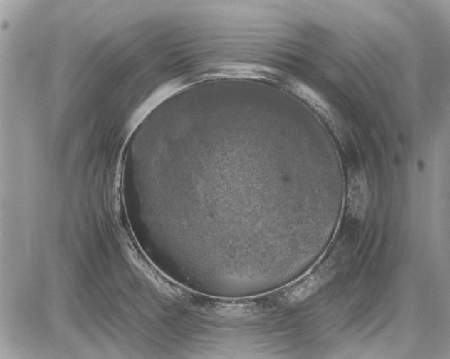 X0000085271378200703161418