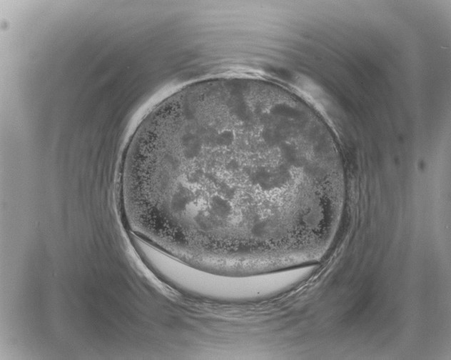 X0000085271379200703161418