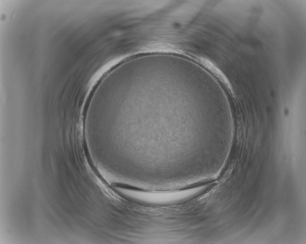 X0000085271380200703161418