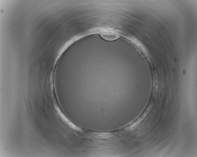 X0000085271382200703161418