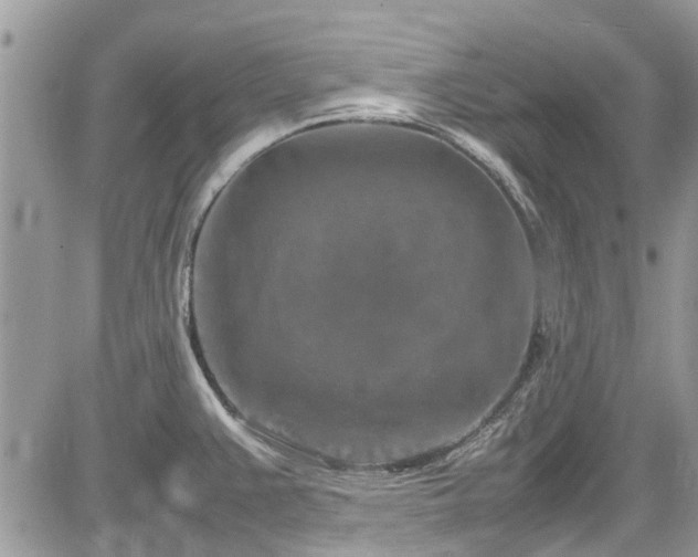 X0000085271383200703161418