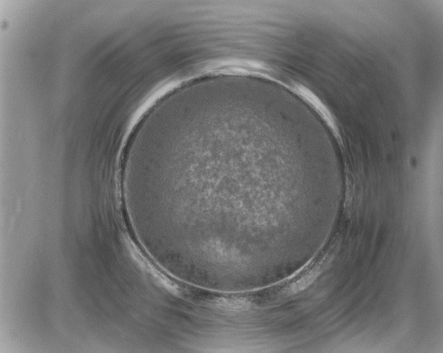 X0000085271384200703161418