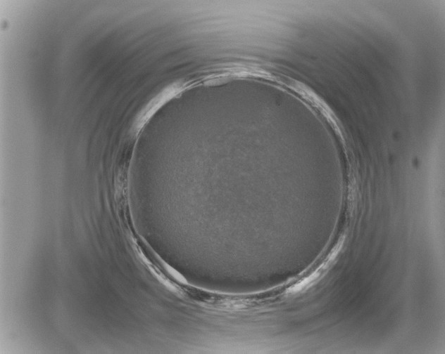 X0000085271385200703161418