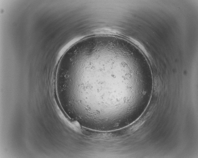 X0000085271387200703161418