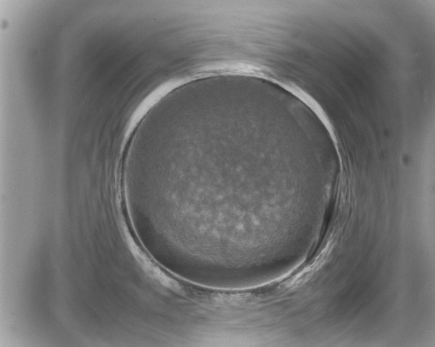 X0000085271389200703161418