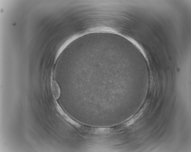 X0000085271390200703161418