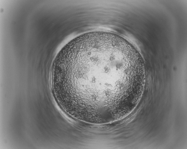 X0000085271391200703161418