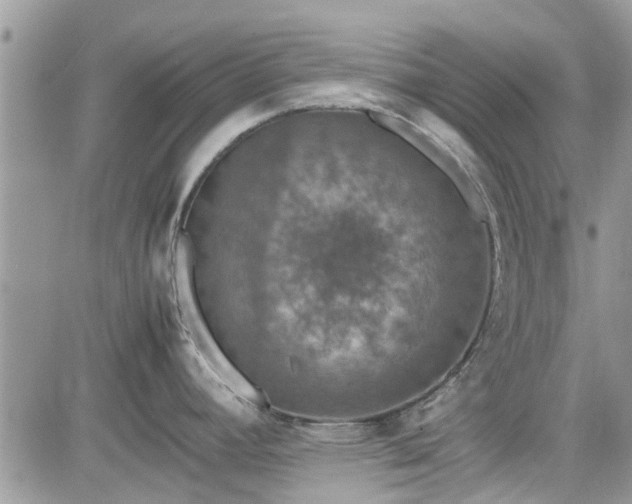 X0000085271392200703161418