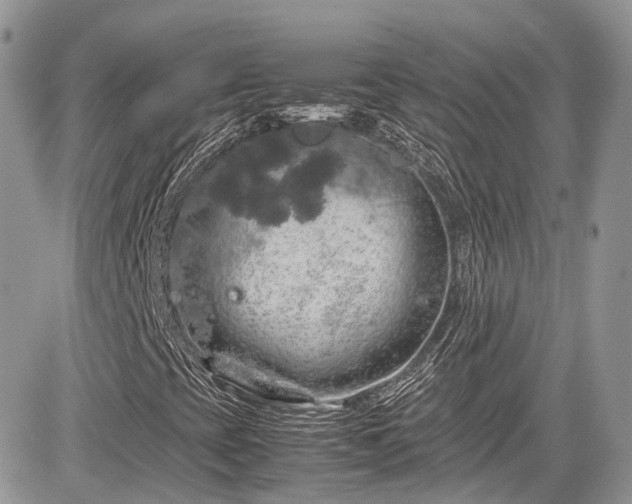 X0000085271393200703161417