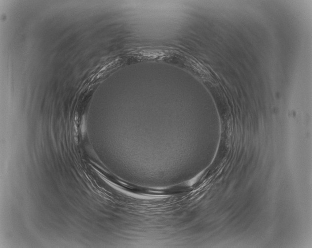 X0000085271394200703161417