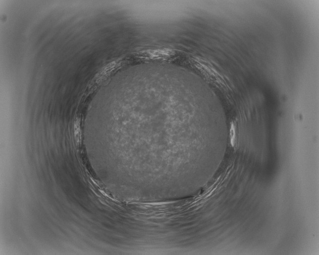 X0000085271395200703161417