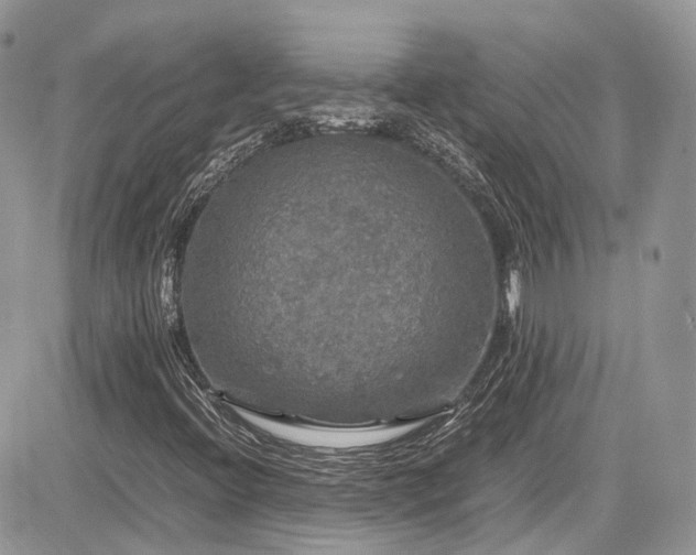 X0000085271396200703161417