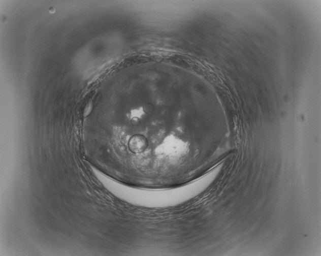 X0000085271397200703161418