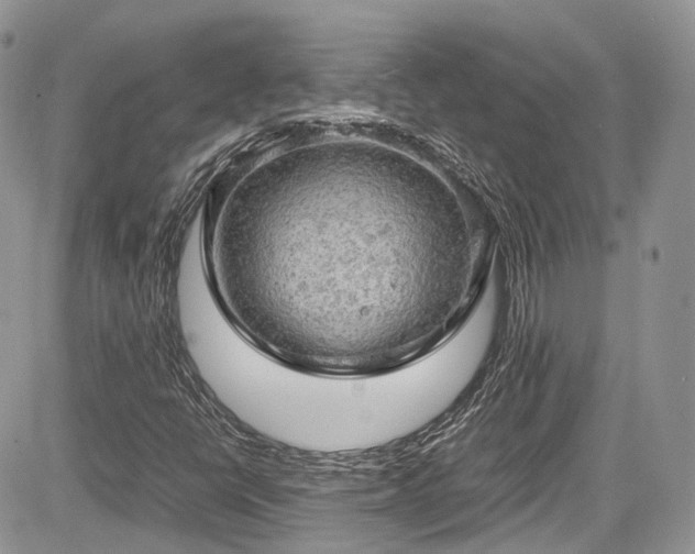 X0000085271398200703161418