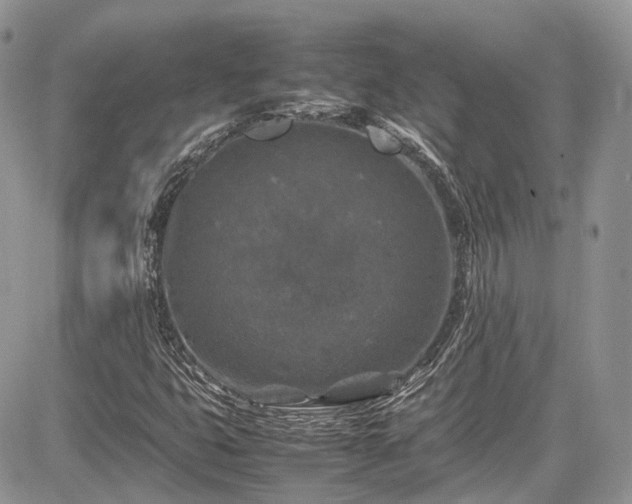 X0000085271399200703161418