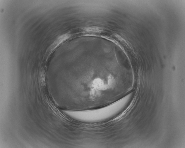 X0000085271401200703161418