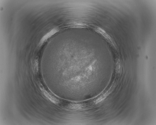 X0000085271402200703161418